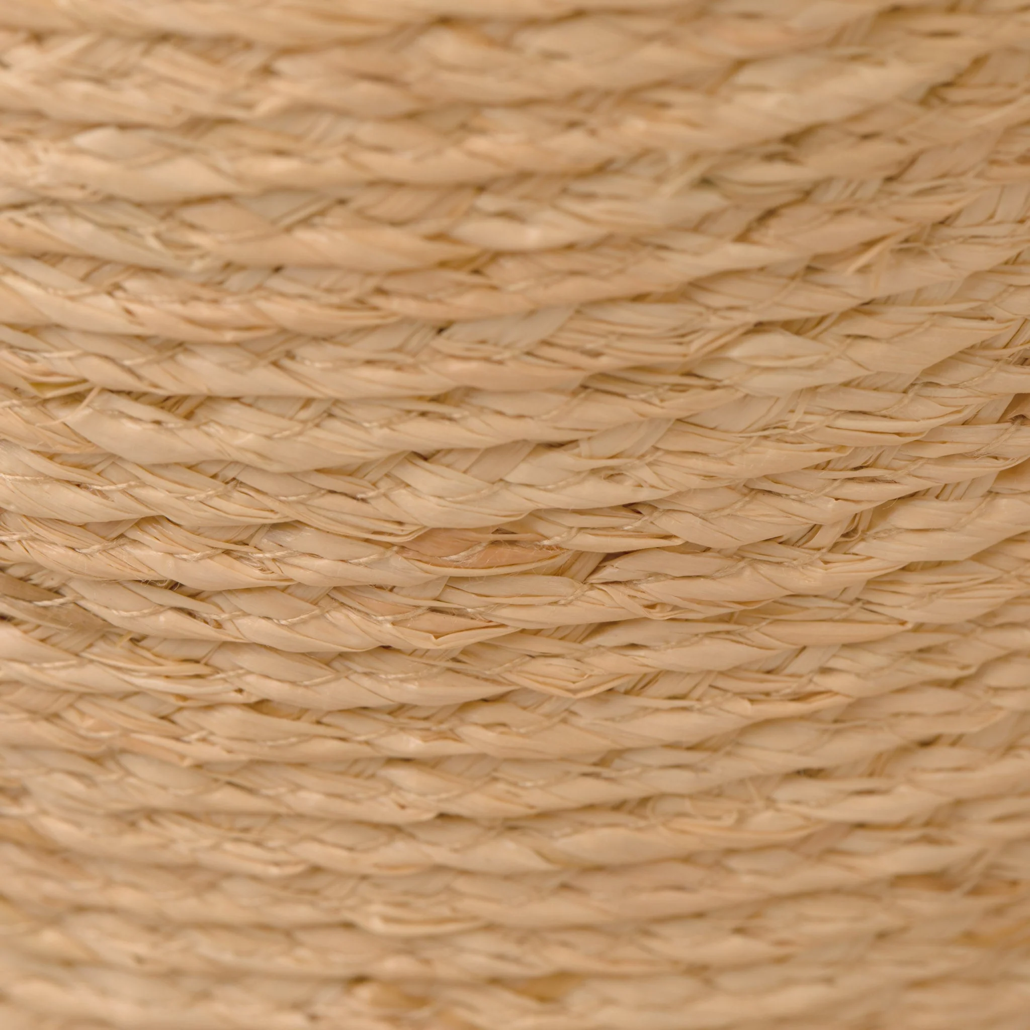 Panama Wide Brim - Image 6